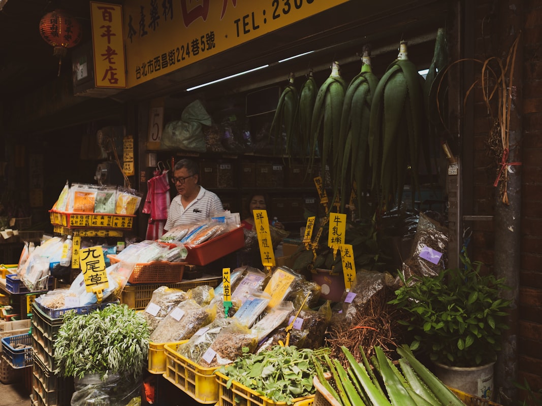 Global wellness traditions and natural health care practices